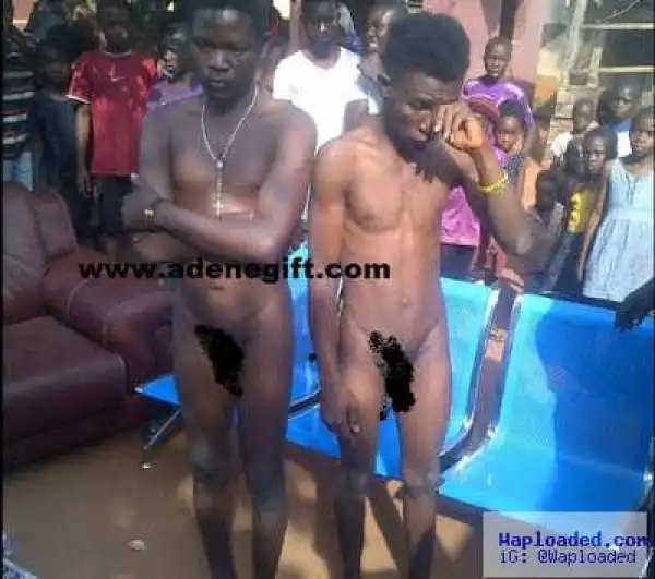 See How These Teenagers Were Stripped Unclad In Delta For Stealing Chairs & Sofa 